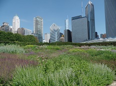 Lurie garden